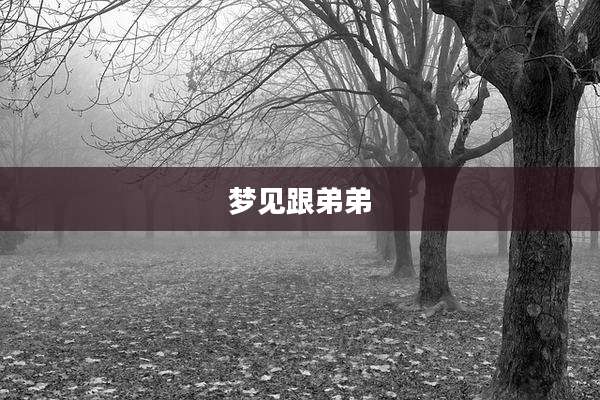 梦见跟弟弟