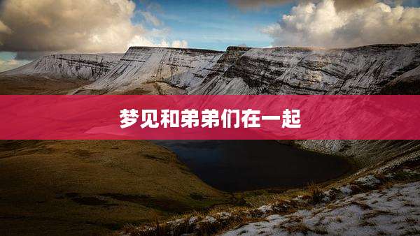 梦见和弟弟们在一起