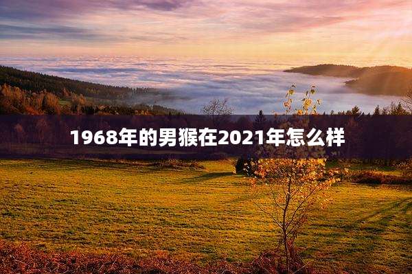 1968年的男猴在2021年怎么样