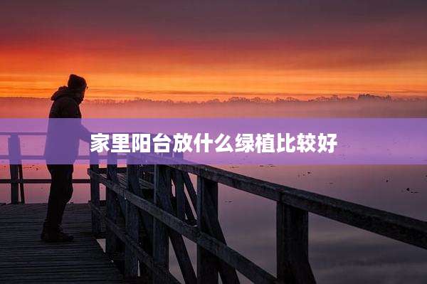 家里阳台放什么绿植比较好
