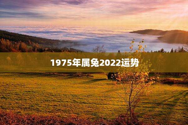 1975年属兔2022运势