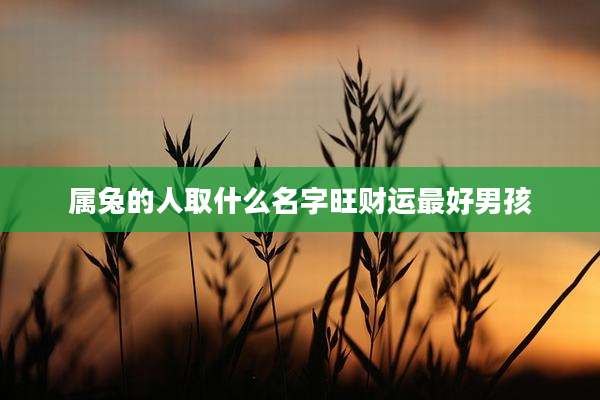 属兔的人取什么名字旺财运最好男孩