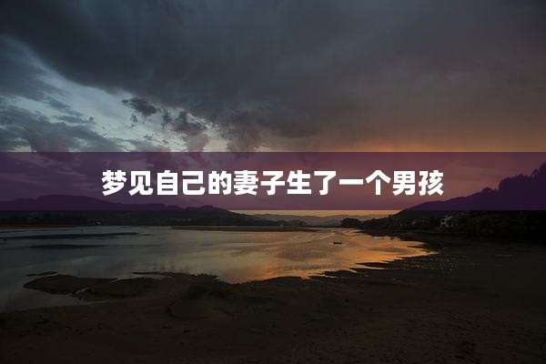 梦见自己的妻子生了一个男孩