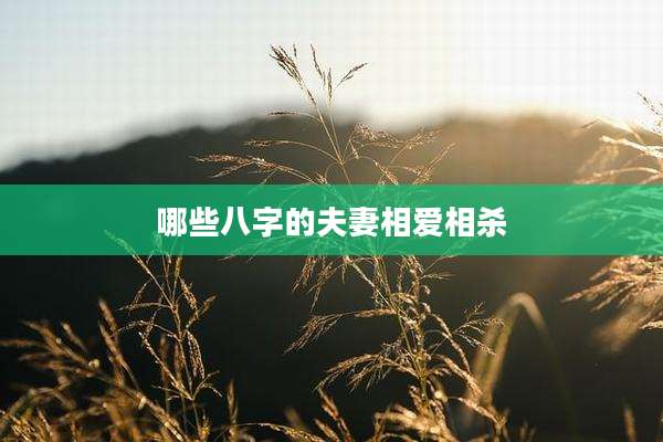 哪些八字的夫妻相爱相杀