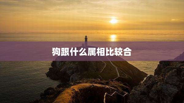 狗跟什么属相比较合