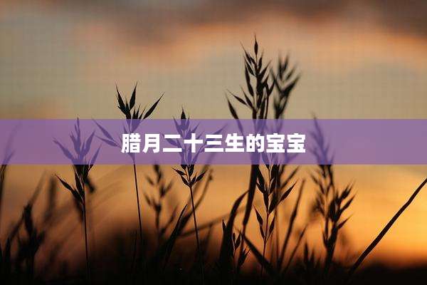 腊月二十三生的宝宝