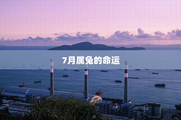 7月属兔的命运