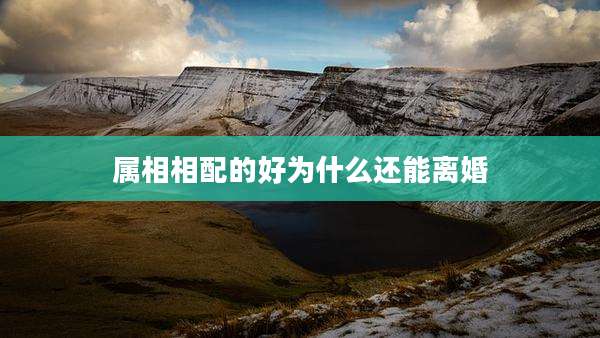 属相相配的好为什么还能离婚