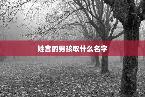 姓宫的男孩取什么名字
