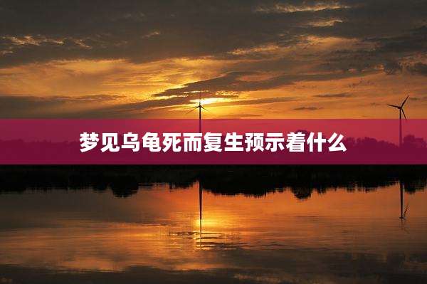梦见乌龟死而复生预示着什么