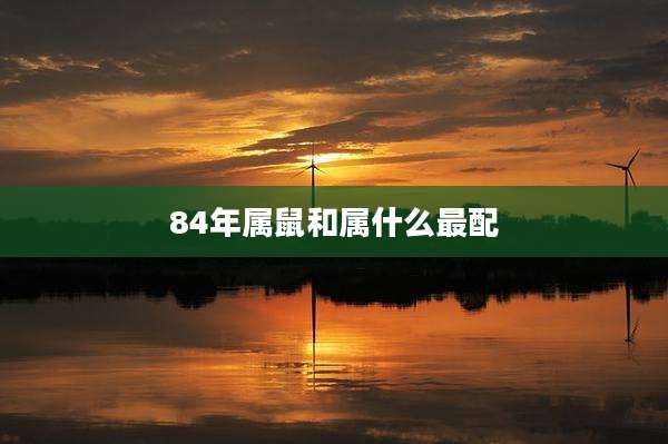 84年属鼠和属什么最配