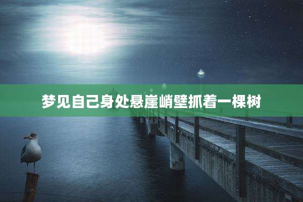 梦见自己身处悬崖峭壁抓着一棵树