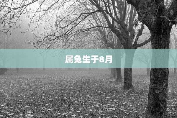 属兔生于8月