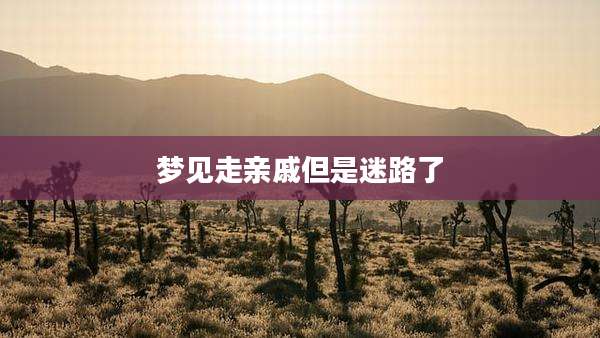 梦见走亲戚但是迷路了