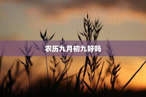 农历九月初九好吗