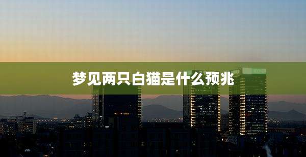 梦见两只白猫是什么预兆