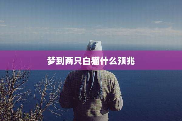 梦到两只白猫什么预兆