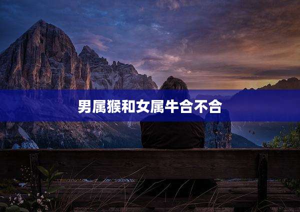 男属猴和女属牛合不合