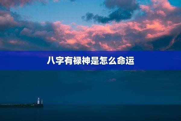 八字有禄神是怎么命运
