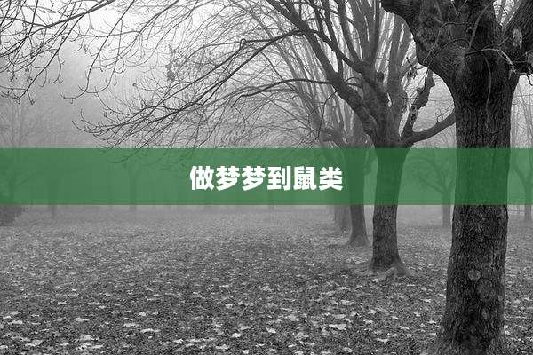 做梦梦到鼠类
