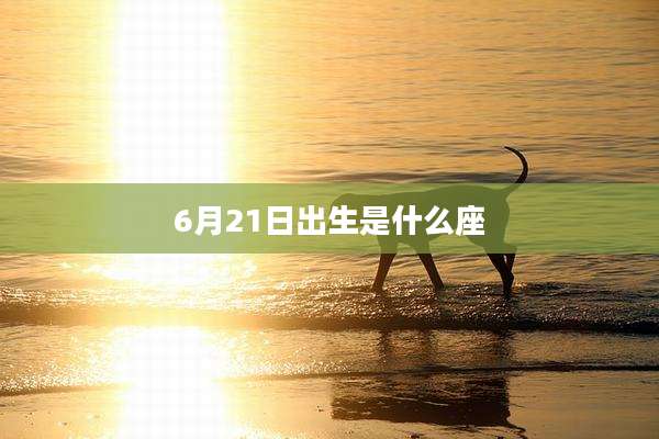 6月21日出生是什么座