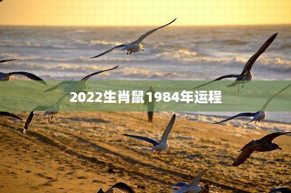 2022生肖鼠1984年运程