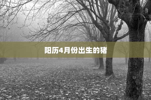阳历4月份出生的猪