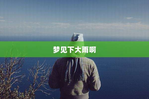 梦见下大雨啊