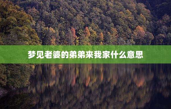 梦见老婆的弟弟来我家什么意思