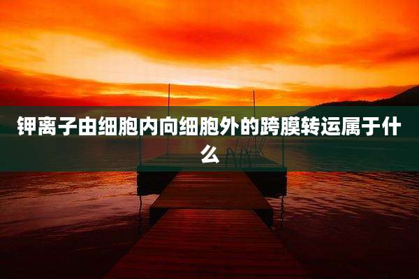 钾离子由细胞内向细胞外的跨膜转运属于什么
