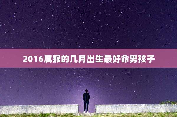 2016属猴的几月出生最好命男孩子