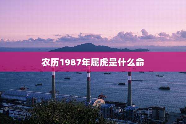 农历1987年属虎是什么命