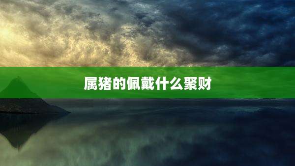 属猪的佩戴什么聚财
