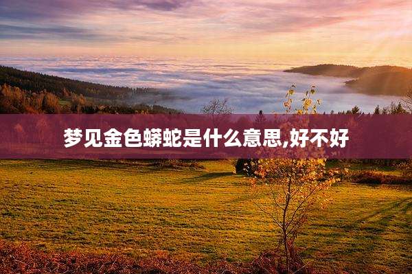 梦见金色蟒蛇是什么意思,好不好
