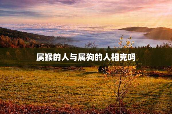 属猴的人与属狗的人相克吗