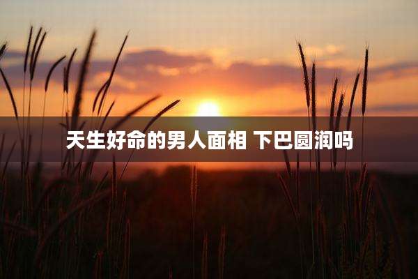 天生好命的男人面相 下巴圆润吗