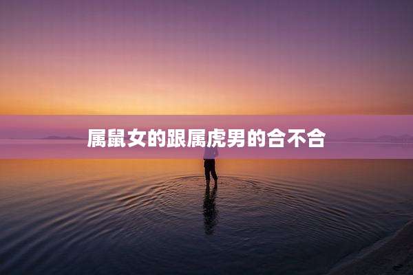属鼠女的跟属虎男的合不合