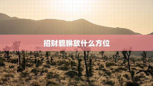 招财貔貅放什么方位