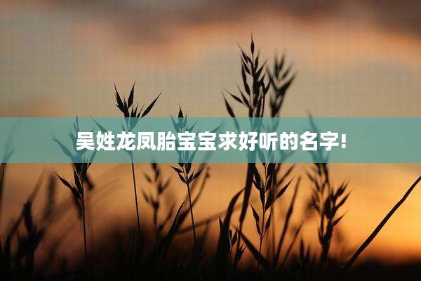 吴姓龙凤胎宝宝求好听的名字!