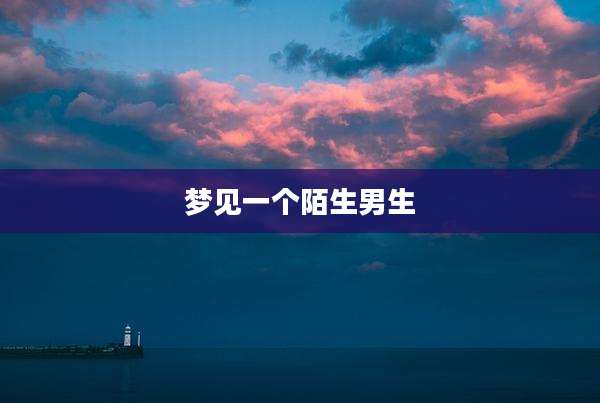 梦见一个陌生男生