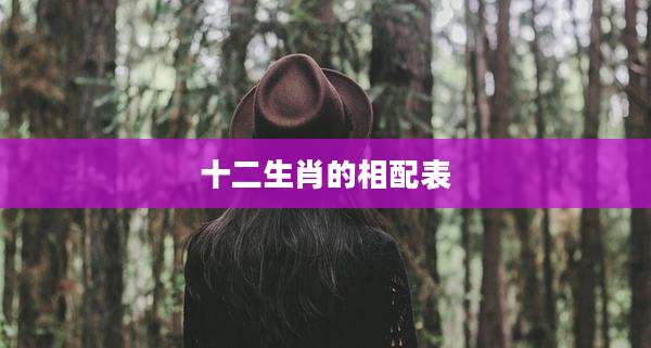 十二生肖的相配表