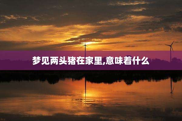 梦见两头猪在家里,意味着什么