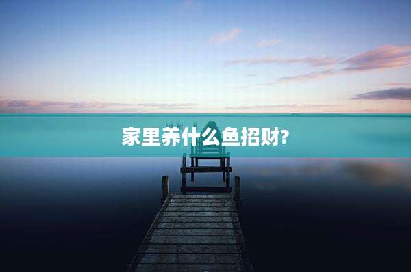 家里养什么鱼招财?