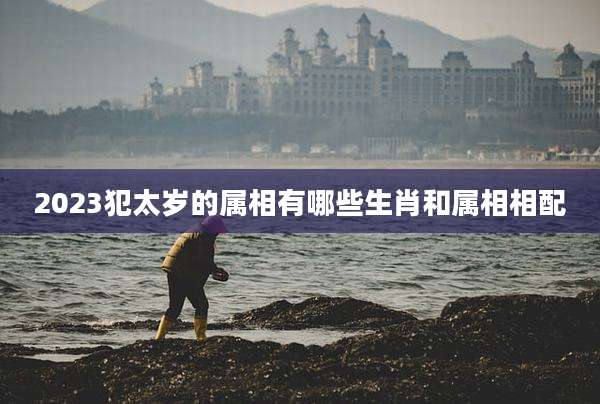 2023犯太岁的属相有哪些生肖和属相相配