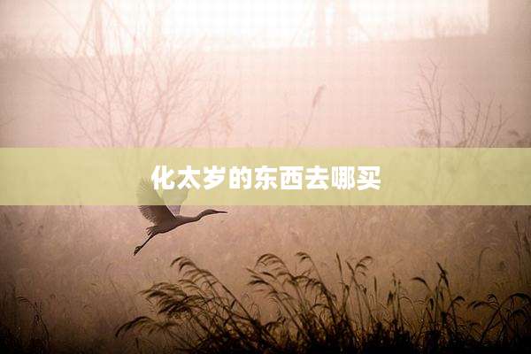 化太岁的东西去哪买