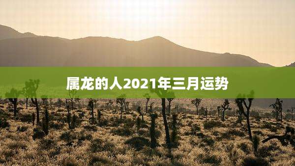 属龙的人2021年三月运势