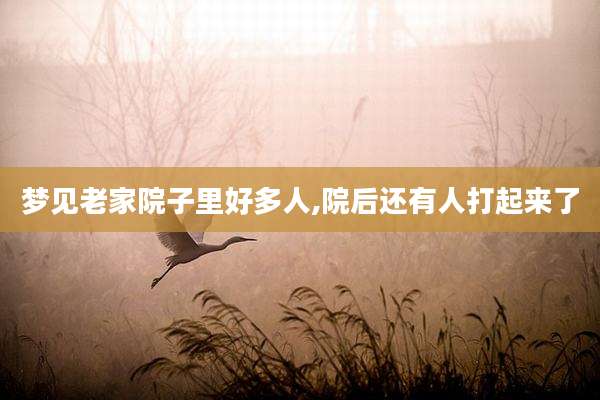 梦见老家院子里好多人,院后还有人打起来了