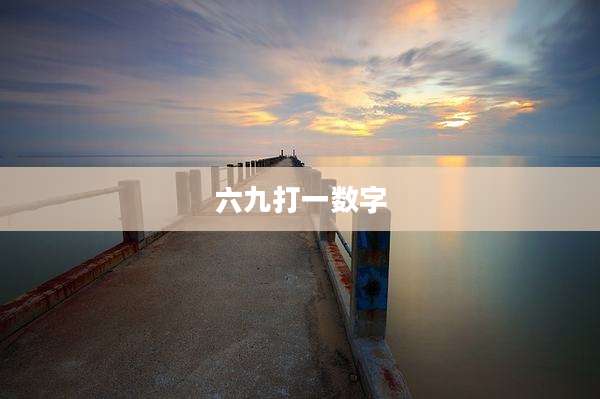 六九打一数字