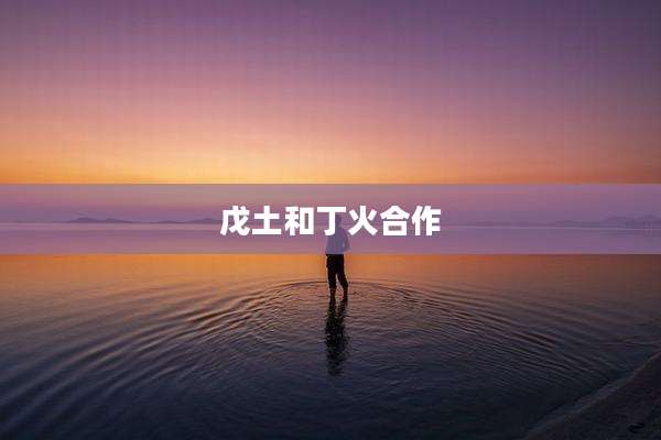 戊土和丁火合作