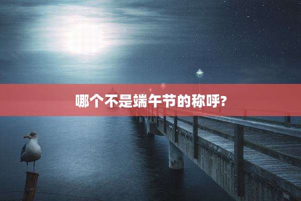 哪个不是端午节的称呼?